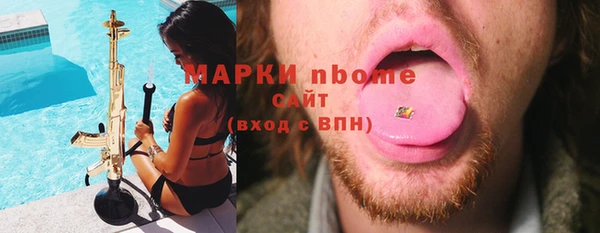 PSILOCYBIN Гусиноозёрск