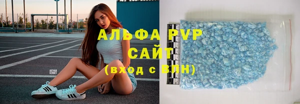 PSILOCYBIN Гусиноозёрск