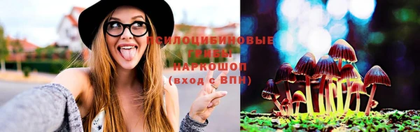 PSILOCYBIN Гусиноозёрск