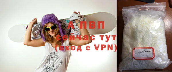 PSILOCYBIN Гусиноозёрск