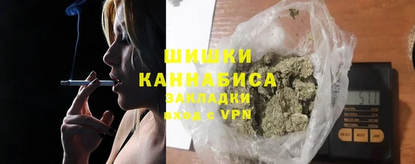 PSILOCYBIN Гусиноозёрск