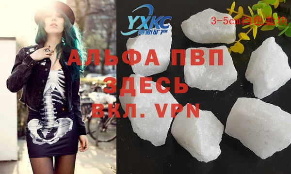 PSILOCYBIN Гусиноозёрск
