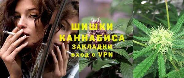 PSILOCYBIN Гусиноозёрск