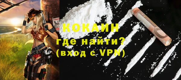 хмурый Гусев