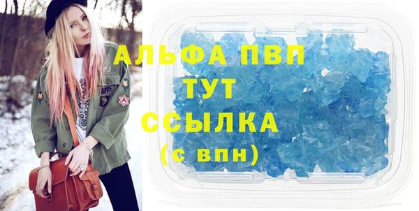 хмурый Гусев