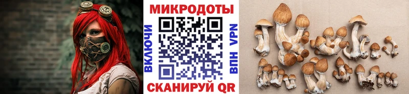 Купить  Новоаннинский  Галлюциногенные грибы мухоморы 